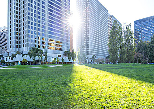 绿色,草地,靠近,现代办公室,建筑,阳光