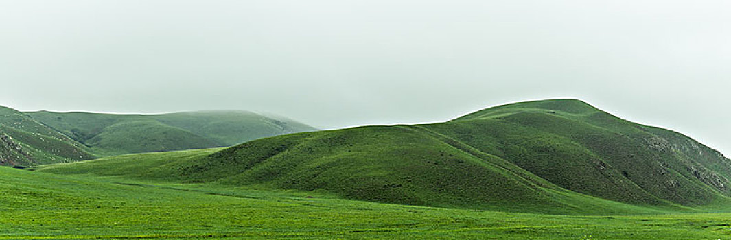 草原景色