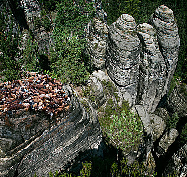 砂岩,山,俯拍,德国