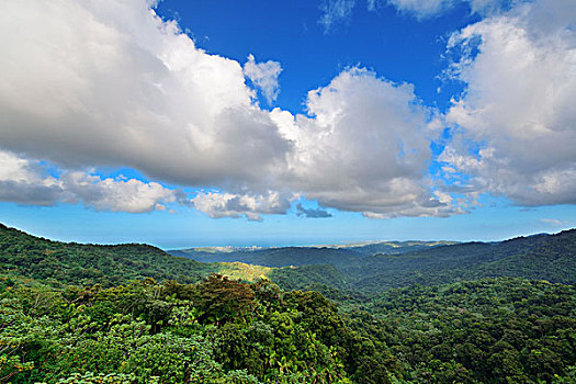 热带雨林,圣胡安