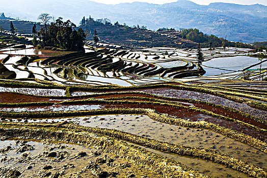 元阳哈尼梯田