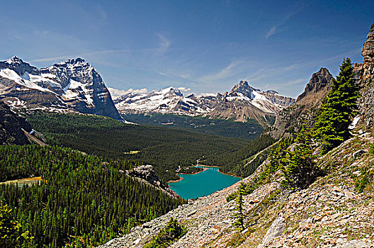 欧哈拉湖,围绕,山峦,高山,电路,小路,幽鹤国家公园,不列颠哥伦比亚省,加拿大