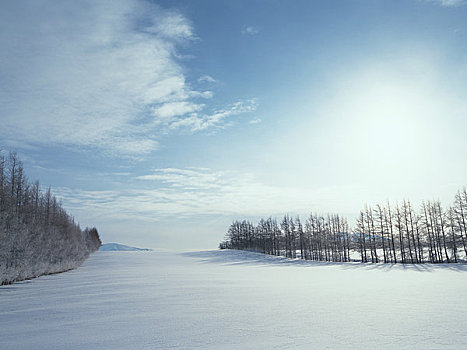 冬季风景