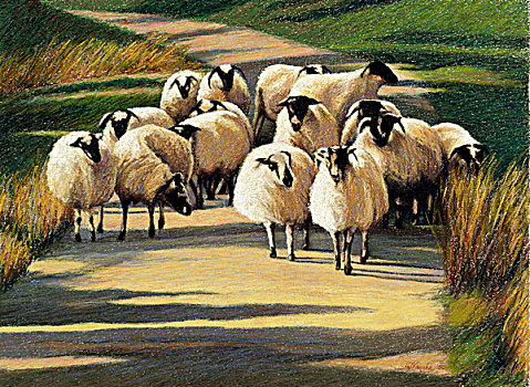 绵羊,戈尔韦,淡色调,水彩,纸,1998年,20世纪,收集,艺术家