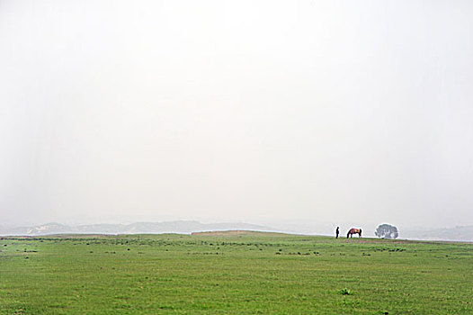 承德,坝上,草原,花海,原野,开阔,河流,植被,牧场