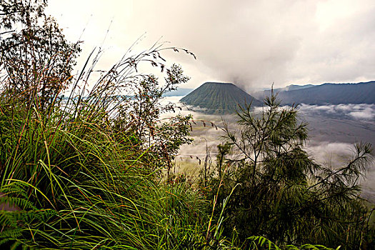 火山,爪哇岛