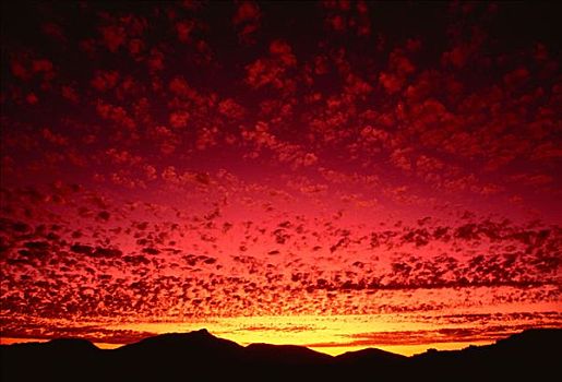 日落,开普省,南非