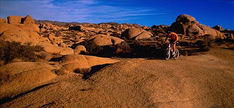 男人,骑自行车,莫哈维沙漠,加利福尼亚,美国