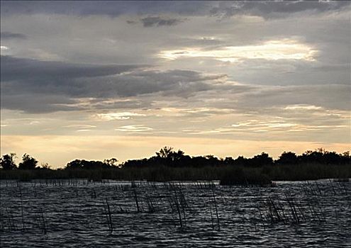 云,上方,沼泽,奥卡万戈三角洲,博茨瓦纳