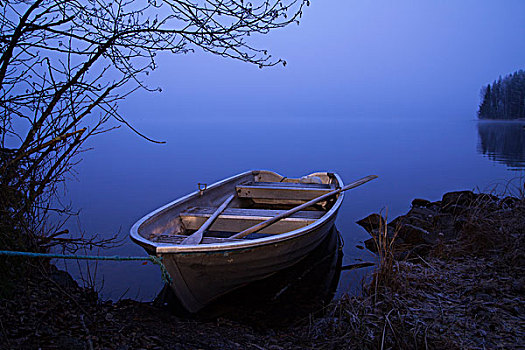 划桨船,堤岸,湖,雾状,瑞典,欧洲