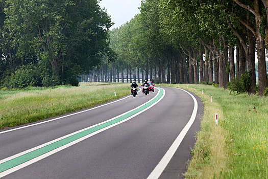 高速公路,绿色,线条,荷兰