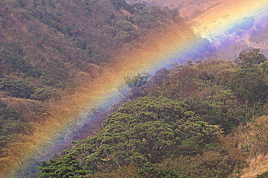 哥斯达黎加,靠近,彩虹,上方,乡村,山谷