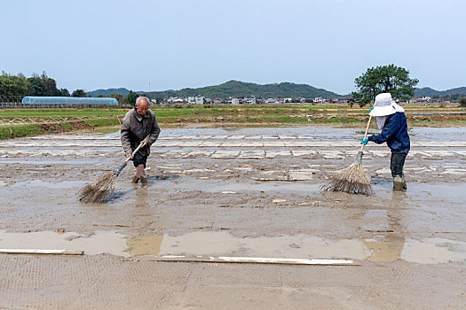 江西金溪,高标准农田助力春耕生产