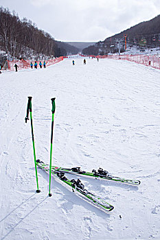 滑雪板,手杖,滑雪场