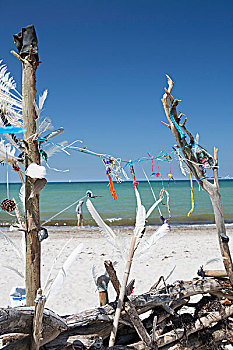 浮木,雕塑,海滩,波罗的海,德国