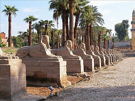 雕塑,人行道,卢克索神庙,路克索神庙,埃及