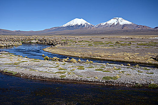积雪,火山,国家公园,边界,玻利维亚,智利
