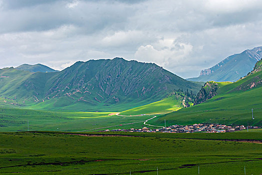 高原牧场草原风光