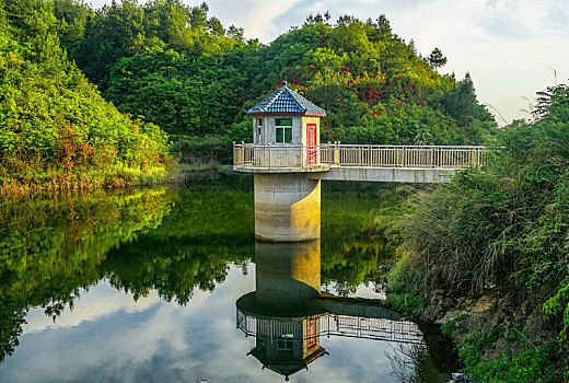 重庆酉阳,五月杜鹃花正艳