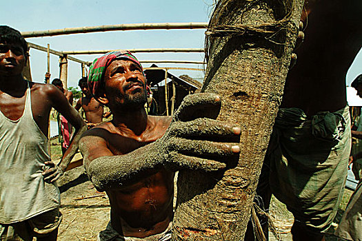 水,白天,房子,许多人,无家可归,区域,卧,洪水,孟加拉,七月,2004年