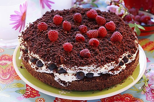 巧克力蛋糕,树莓,蓝莓,奶油