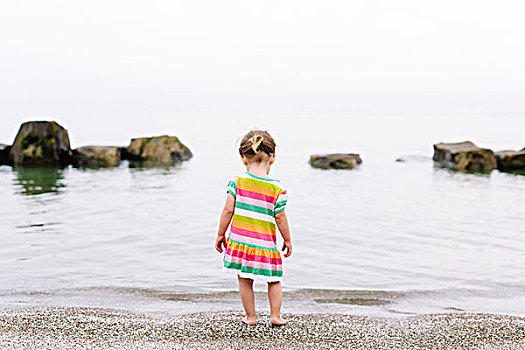 后视图,女孩,穿,条纹,夏裙,站立,沙滩,看,海洋