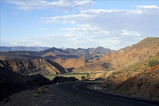 道路,荫凉,南非