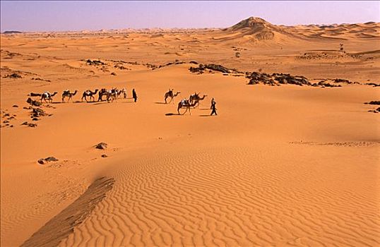 尼日尔,沙漠,骆驼,驼队,旅行,空气,山峦,保护区,非洲,遮盖,上方,火山,山丘,岛屿,隔绝