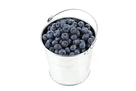 蓝莓,隔绝,桶