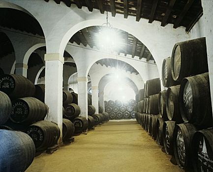 酒窖,西班牙