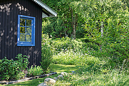 木屋,蓝色,格子,窗户,围绕,夏天,花园