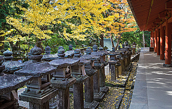 日本,奈良,城市,神社