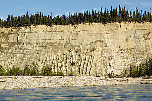 河,风景,腐蚀,软,砂岩,高,切削,悬崖,育空地区,加拿大