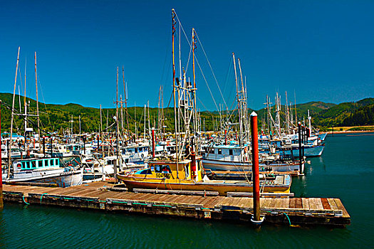 渔港,俄勒冈,美国