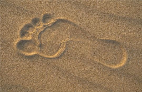 脚印,沙子,利比亚
