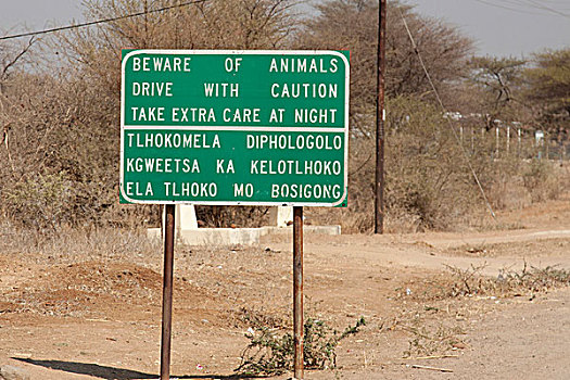 非洲,博茨瓦纳,动物,路边,警告标识