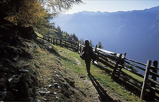 女人,游客,徒步旅行,山,意大利,欧洲,阿尔卑斯山