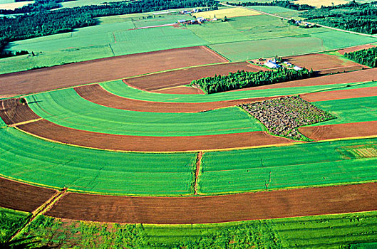 俯视,细条,耕作,爱德华王子岛,加拿大