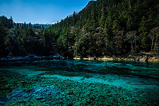 九寨沟风景