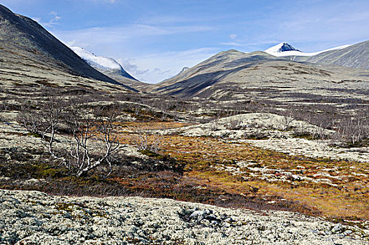 风景,正面,积雪,山峦,国家公园,挪威,欧洲