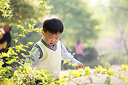 亚洲人,男孩,玩,花园