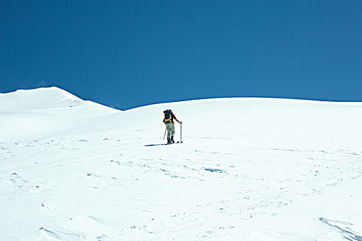 滑雪,上坡,后视图
