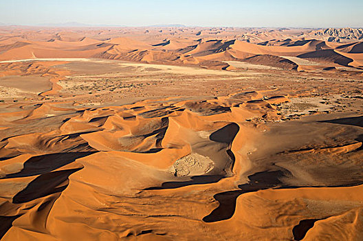沙丘,纳米布沙漠,顶端,右边,花冈岩,山丘,中心,骆驼,刺,树,刺槐,晚上,航拍,纳米比诺克陆夫国家公园,纳米比亚,非洲