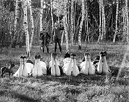 男人,摄影,女人,山毛榉,树林,20世纪20年代,精准,地点,未知,德国,欧洲