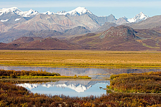 美国,阿拉斯加,阿拉斯加山脉,德纳里峰,公路