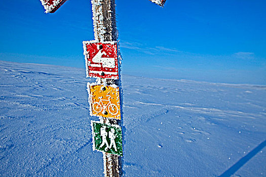 挪威,区域,标志牌,北极圈