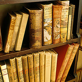 老式,书本,木质,架子