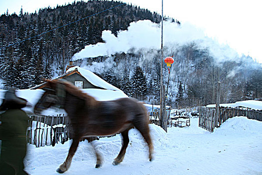 黑龙江雪乡