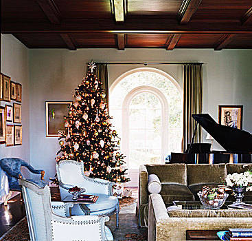 装饰,圣诞树,豪华,起居室