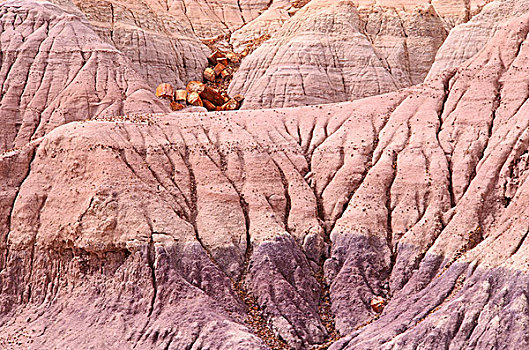沉积,层次,局部,蓝色背景,方山,石化森林国家公园,亚利桑那
